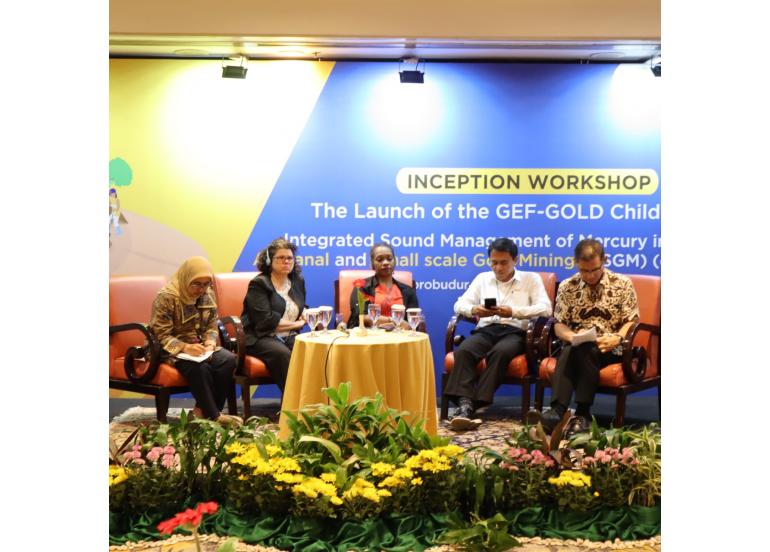 The Launch of the GEF-GOLD Child : Integrated Sound Management of Mercury in Ind...